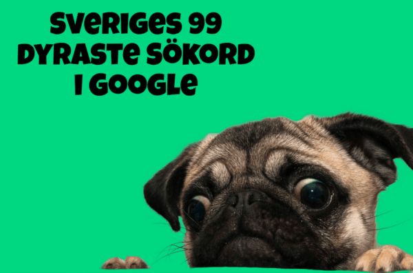 Sveriges 100 dyraste sökord i Google 2024