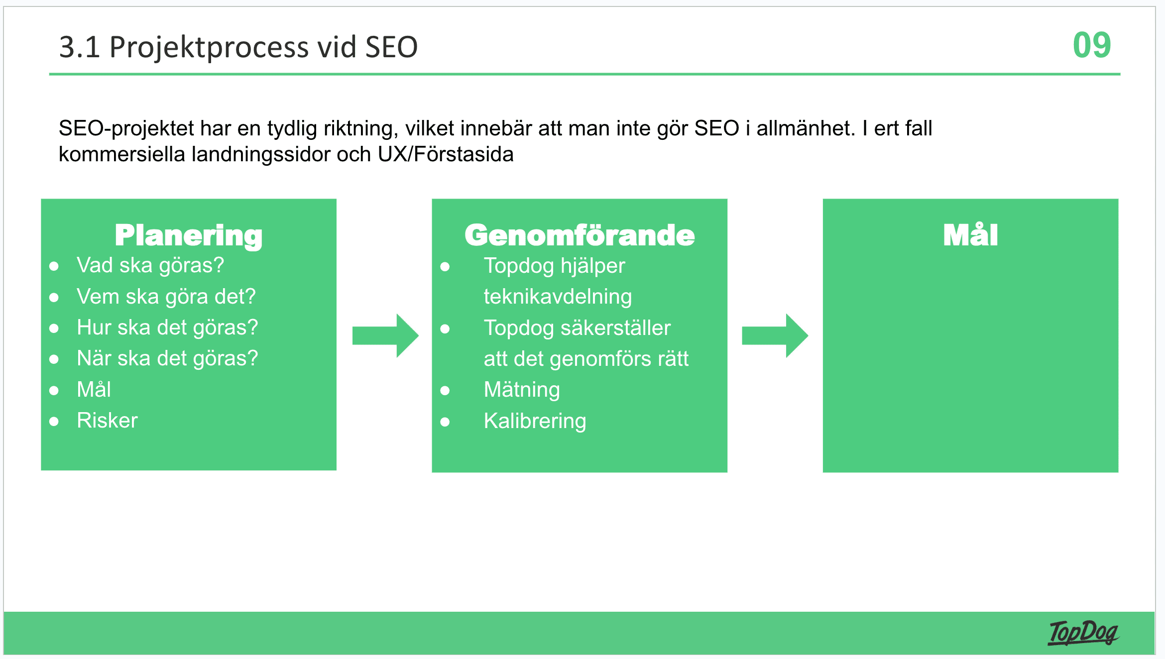 Bild som beskriver topdogs grundläggande projektprocess