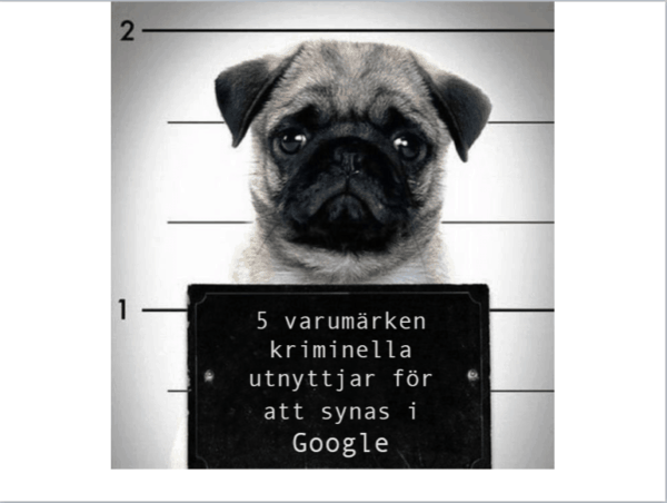 5 varumärken kriminella utnyttjar för att synas i Google