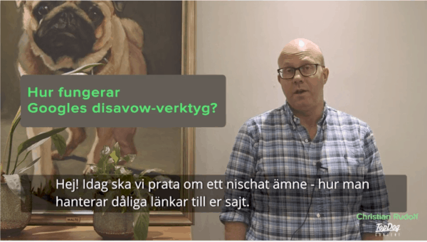 Hur hanterar man dåliga länkar med Disavow?