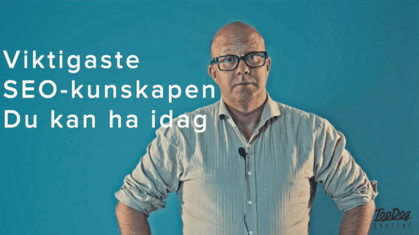 Den viktigaste SEO-kunskapen 2024