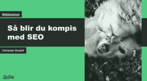 Så blir du som e-handelschef vän med SEO