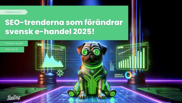 SEO-trenderna som förändrar svensk e-handel 2025