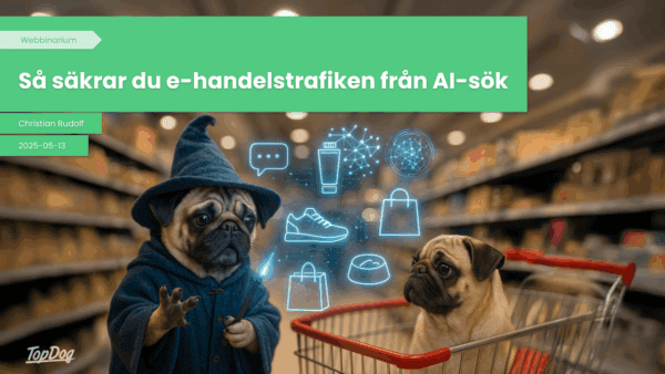 Så säkrar du e-handelstrafiken från AI-sök