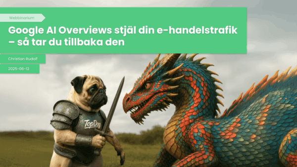 Google AI Overviews stjäl din e-handelstrafik – så tar du tillbaka den