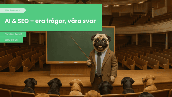 AI & SEO – era frågor, våra svar