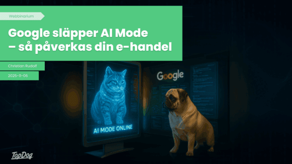 Google släpper AI Mode – så påverkas din e-handel